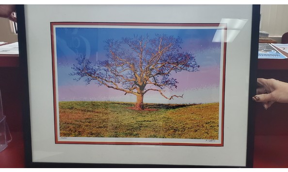 Big image img 20230921 121527