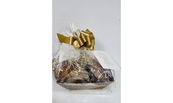 Big image 20230922 093727