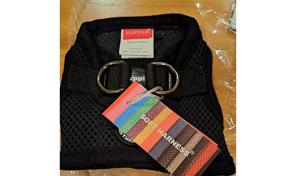 Big image puppiablackharness   jennifer jablonski