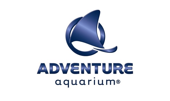 Big image mini magick20230923 24659 5u9wgi