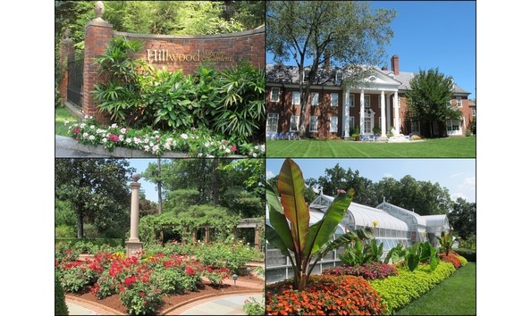 Big image mini magick20230923 24659 1c9v68c