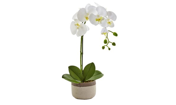 Big image greenhouse3