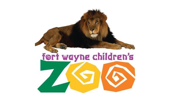 Big image mini magick20230928 64957 zg60pl