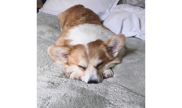 Big image mini magick20180209 33157 yxev1g