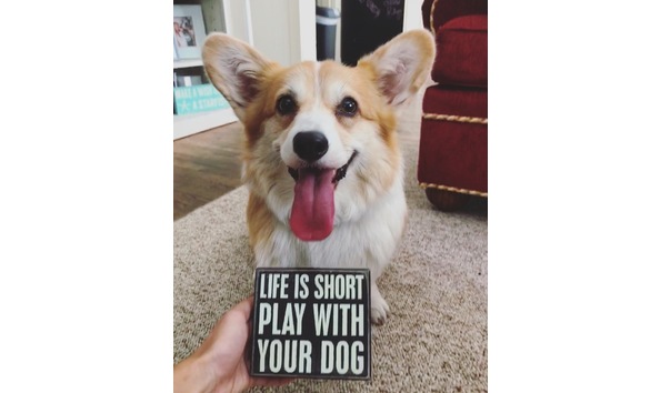 Big image mini magick20180209 33157 1rs1n9w