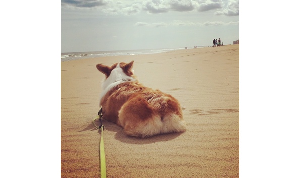 Big image mini magick20180209 33157 guct35