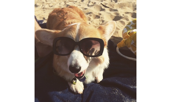 Big image mini magick20180209 33157 12uuewo