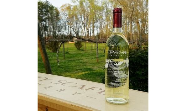 Big image city scape