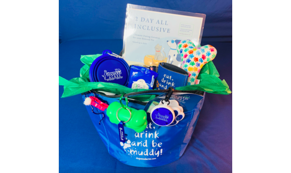 Big image screen shot 2023 09 30 at 4.04.23 pm