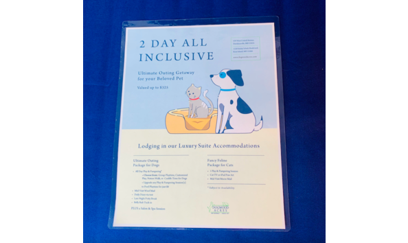 Big image screen shot 2023 09 30 at 4.05.16 pm