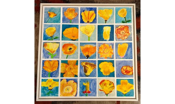 Big image img 6429  1   1 