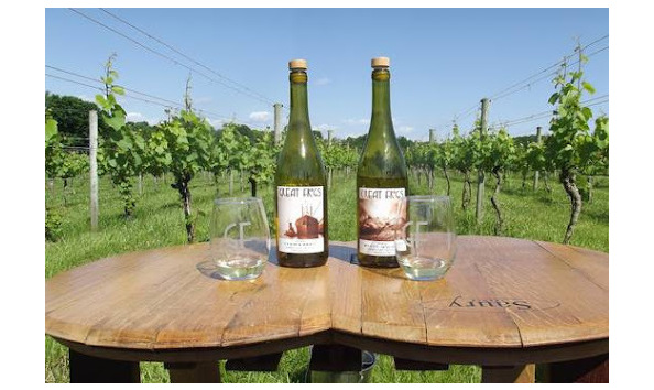 Big image mini magick20231005 14886 11ejgo0