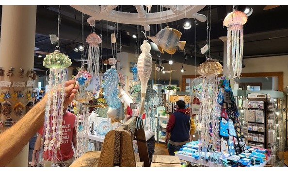 Big image 2021 12 24