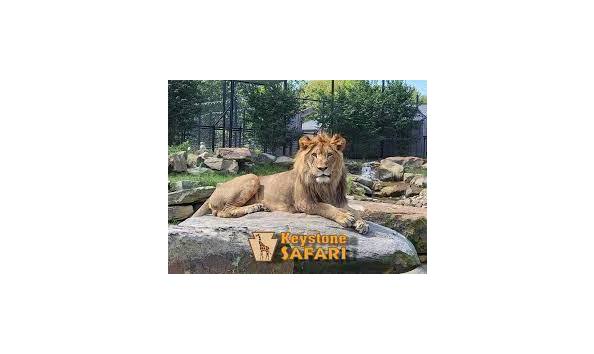 Big image mini magick20231005 74561 qpliba