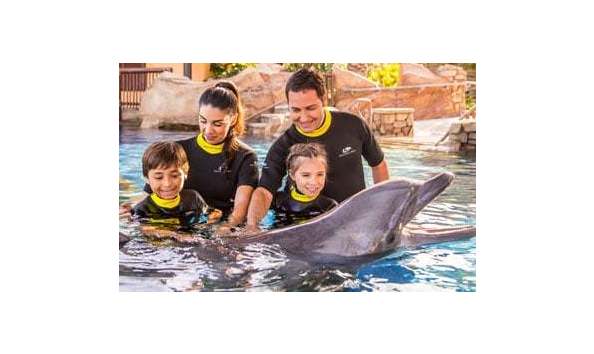 Big image discovery point swims listing