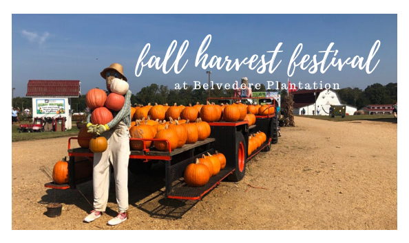 Big image fallfestbelvedere