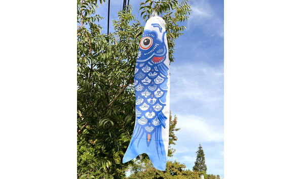 Big image unnamed  2 