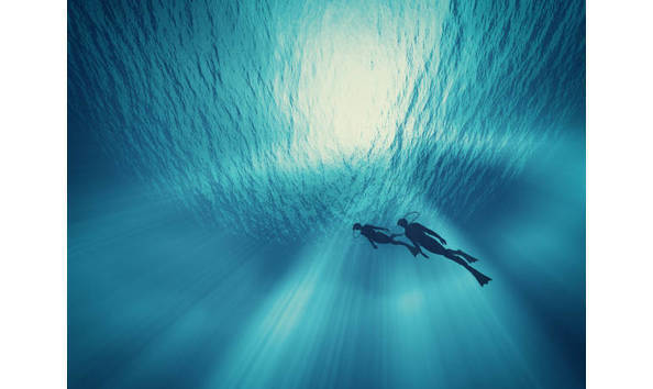 Organization Main Image