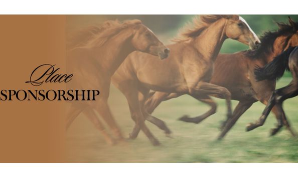 Big image yellow professional gradient app development banner landscape 4