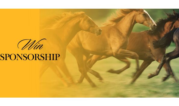 Big image yellow professional gradient app development banner landscape 6