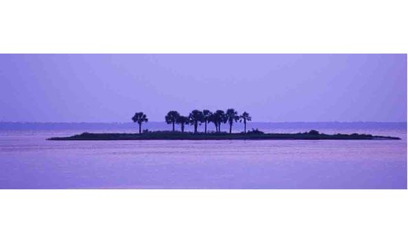 Big image  palm island small copy