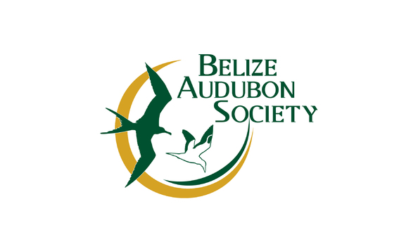 Big image fullcolorbaslogo 2022 revised 2