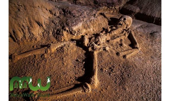 Big image 317427693 574482101351553 1498137296222547674 n