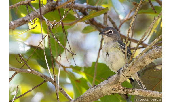 Big image  22h7021 enhanced nr