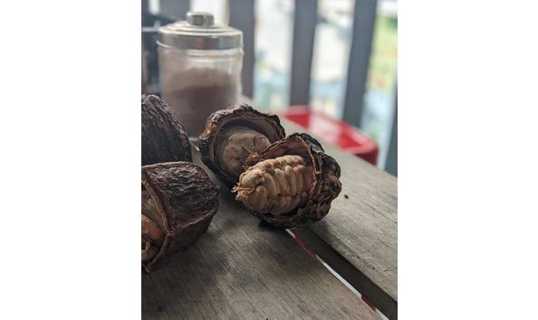 Big image 274586085 10158874489601302 991007709477411775 n