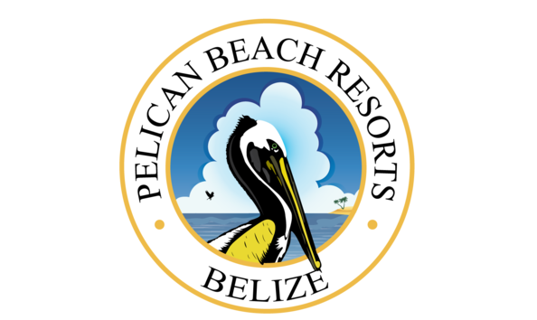 Big image pelican logo simple  003 