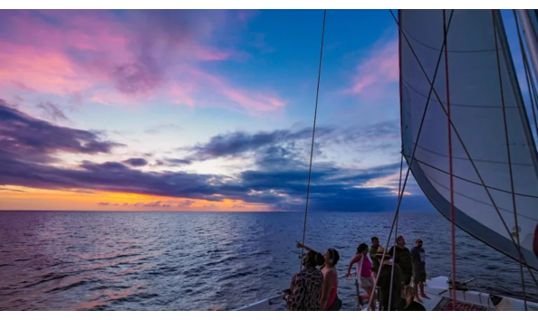 Big image mini magick20231025 121493 vwup38