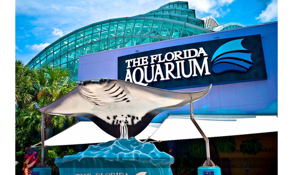 Big image florida aquarium