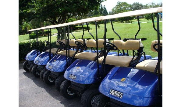 Big image winter pines 1