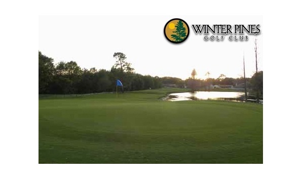 Big image winter pines2