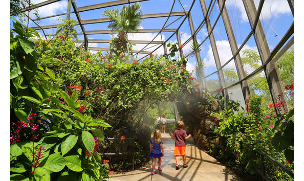 Big image butterflyworld