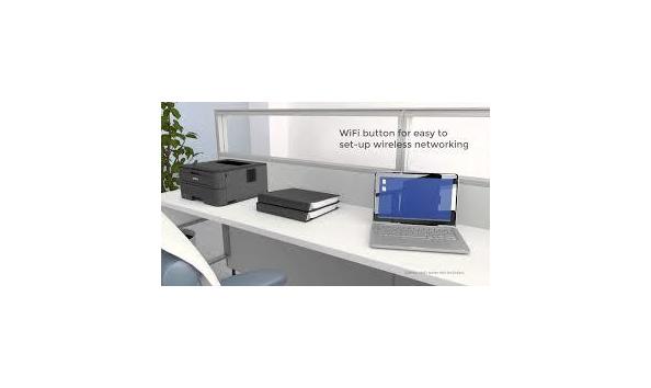 Big image buck n buck1