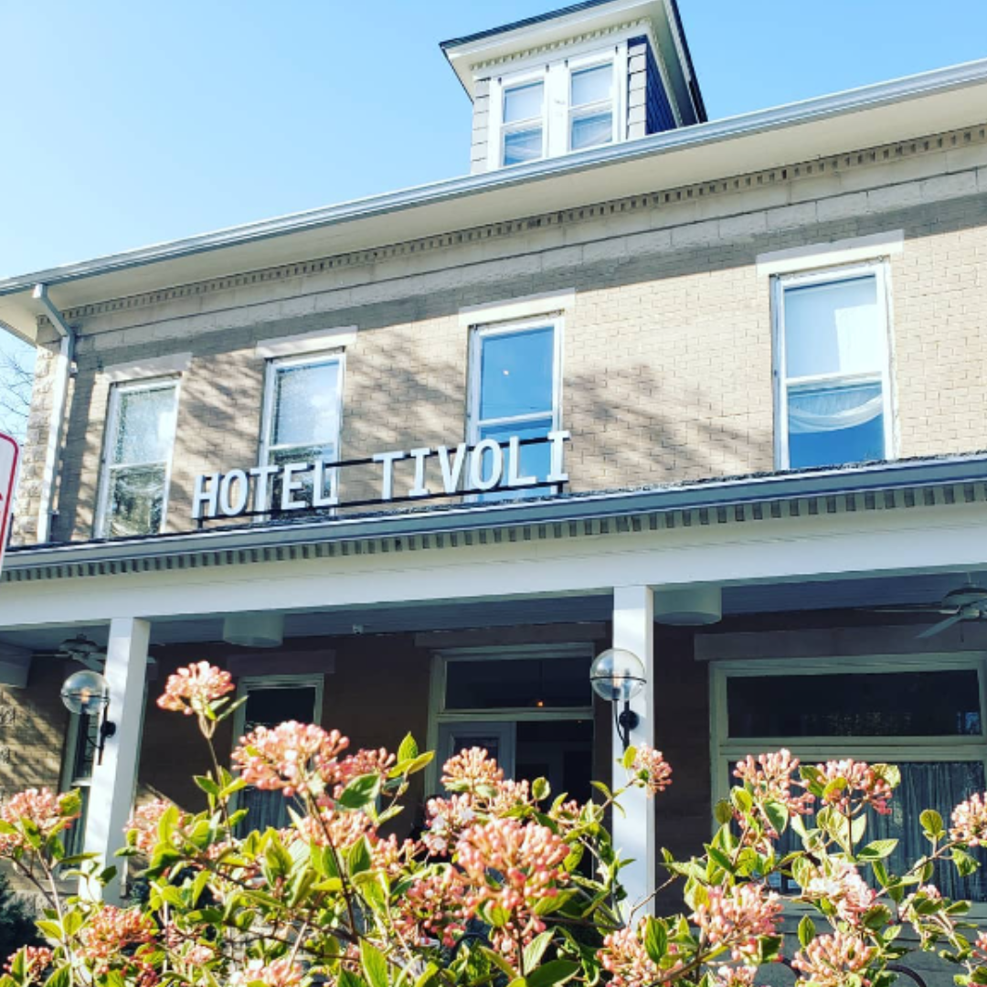 Gift Certificate towards food or lodging at Hotel Tivoli and The Corner