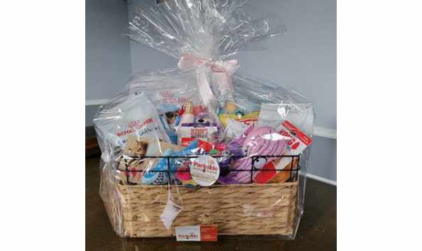 Big image resized 20231031 113306