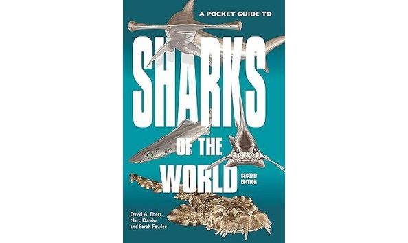 Big image sharks of the world
