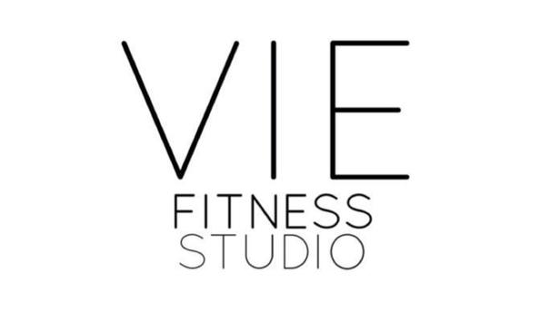 Big image vie logo