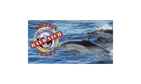 Big image baywatch logo possibility 358x184