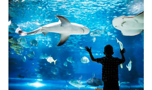 Big image screenshot 2023 11 02 at 3.32.23 pm