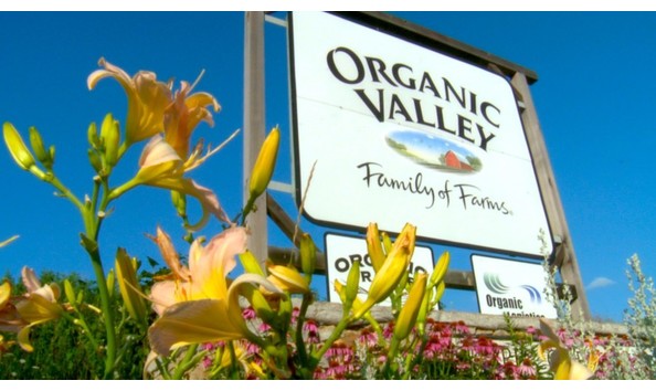 Big image 611 organicvalley 04 1024x576