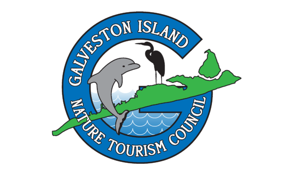 Big image finallogo spotcolors ol 2021 transparent e1655309542246