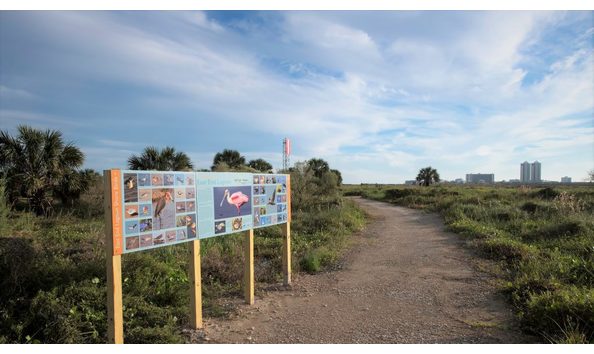 Big image triptych 2 e1591043996360 1024x576