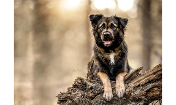 Big image shannon edney photography 1