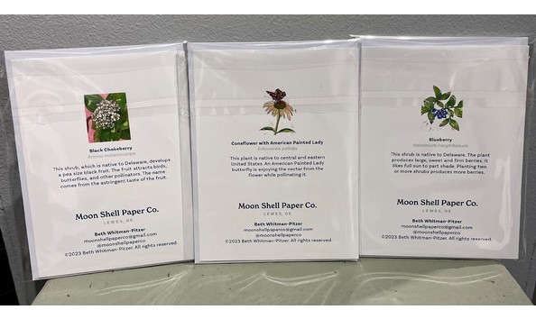 Big image beth whitman pitzer 2