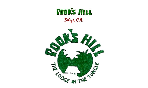 Big image bright logo