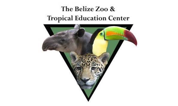 Big image tbztec logo