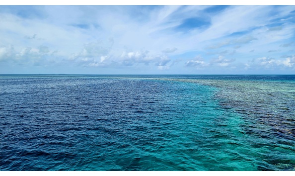 Big image 20230520 084744